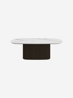 Santiago coffee table