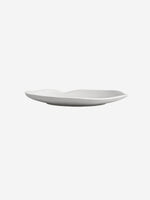 Organic wave plate