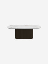 Santiago coffee table